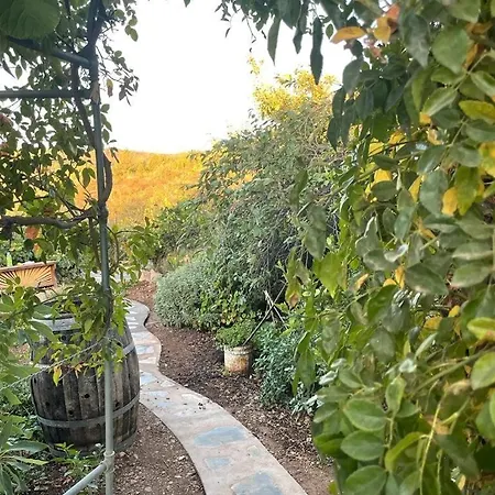 Rosas Maerchenhafte Mit Pool * Вилафлор